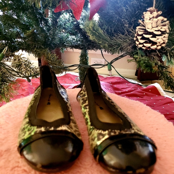 Flats - Picture 5 of 5